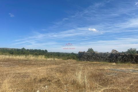 Farm i Pinhel, Guarda, Pinhel - € 120.000 | Ref: 25026 - foto 2