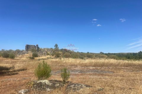Farm i Pinhel, Guarda, Pinhel - € 120.000 | Ref: 25026 - foto 3