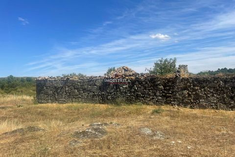 Farm i Pinhel, Guarda, Pinhel - € 120.000 | Ref: 25026 - foto 4
