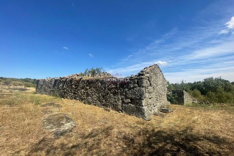 Farm i Pinhel, Guarda, Pinhel - € 120.000 | Ref: 25026 - foto 5