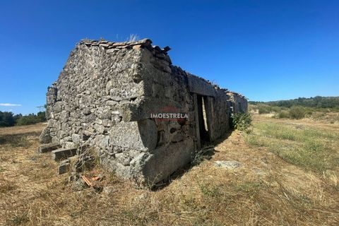 Farm i Pinhel, Guarda, Pinhel - € 120.000 | Ref: 25026 - foto 6