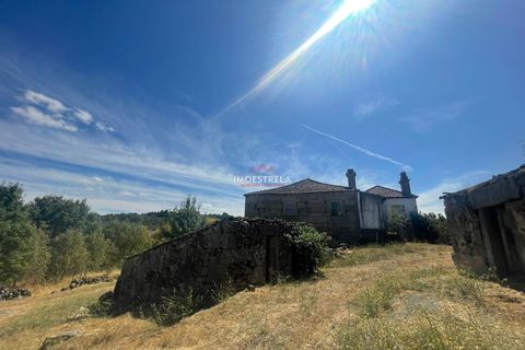 Farm i Pinhel, Guarda, Pinhel - € 120.000 | Ref: 25026 - foto 7