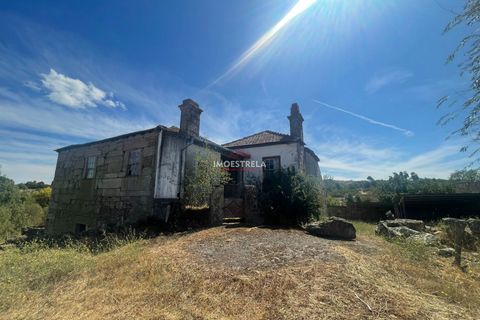 Farm i Pinhel, Guarda, Pinhel - € 120.000 | Ref: 25026 - foto 8