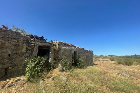 Farm i Pinhel, Guarda, Pinhel - € 120.000 | Ref: 25026 - foto 9