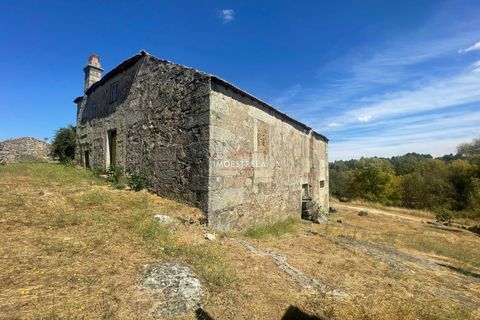 Farm i Pinhel, Guarda, Pinhel - € 120.000 | Ref: 25026 - foto 10