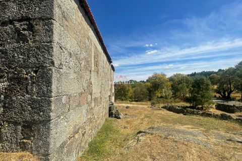 Farm i Pinhel, Guarda, Pinhel - € 120.000 | Ref: 25026 - foto 11
