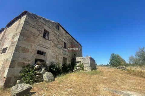 Farm i Pinhel, Guarda, Pinhel - € 120.000 | Ref: 25026 - foto 12
