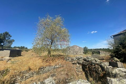 Farm i Pinhel, Guarda, Pinhel - € 120.000 | Ref: 25026 - foto 14