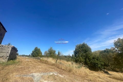 Farm i Pinhel, Guarda, Pinhel - € 120.000 | Ref: 25026 - foto 15