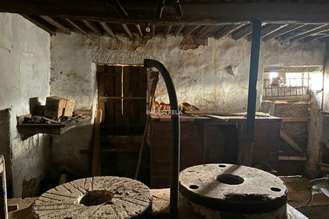 Farm i Pinhel, Guarda, Pinhel - € 120.000 | Ref: 25026 - foto 18