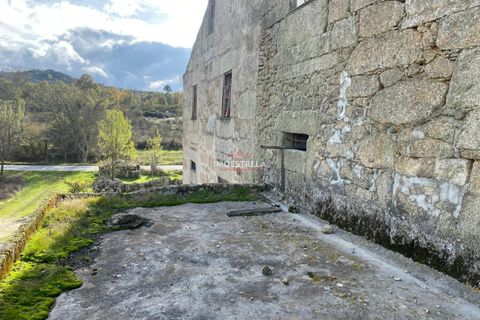 Farm i Pinhel, Guarda, Pinhel - € 120.000 | Ref: 25026 - foto 20