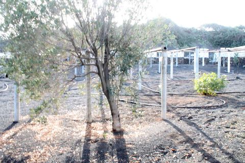 Byhus i La Yedra, Gran Canaria, La Yedra - € 600.000 | Ref: PP-587541 - foto 9