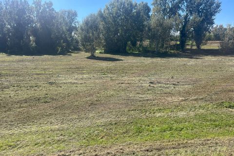 Helårsgrund i Vicopisano, Pisa, Vicopisano - € 18.000 | Ref: 2025234 - foto 3