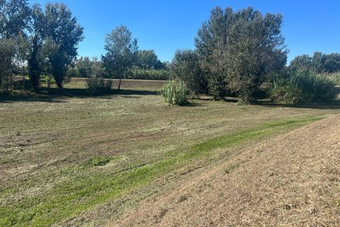 Helårsgrund i Vicopisano, Pisa, Vicopisano - € 18.000 | Ref: 2025234 - foto 4