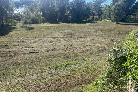 Helårsgrund i Vicopisano, Pisa, Vicopisano - € 18.000 | Ref: 2025234 - foto 5