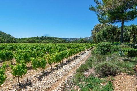 Landejendom i Bedoin, Vaucluse, Bedoin - € 719.000 | Ref: A51AE044E79846EC - foto 17