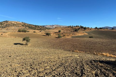 Helårsgrund i Almogia, Malaga, Almogia - € 235.000 | Ref: c975d426-15e0-4b83-8 - foto 8