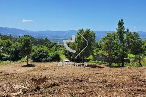 Terra a Valenca, Viana do Castelo, Valenca - € 40.000 | Ref: AV5832 - foto 4
