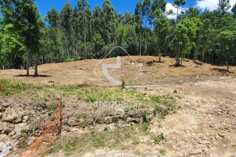 Terra a Valenca, Viana do Castelo, Valenca - € 40.000 | Ref: AV5832 - foto 5