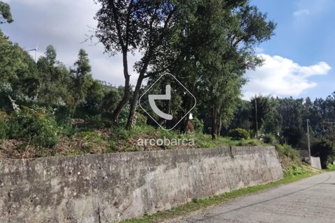Terra a Valenca, Viana do Castelo, Valenca - € 40.000 | Ref: AV5832 - foto 6