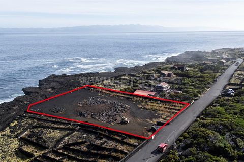 Helårsgrund i Sao Roque do Pico, Pico, Sao Roque do Pico - € 549.000 | Ref: 374250236 - foto 1