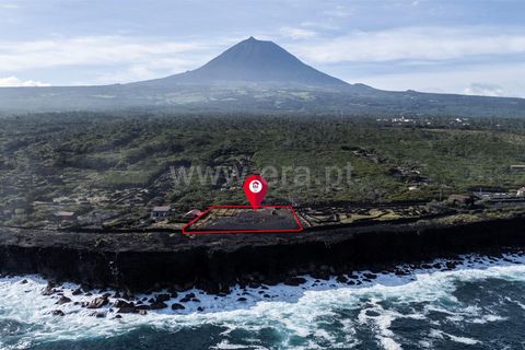 Helårsgrund i Sao Roque do Pico, Pico, Sao Roque do Pico - € 549.000 | Ref: 374250236 - foto 5