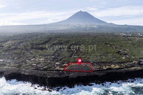 Helårsgrund i Sao Roque do Pico, Pico, Sao Roque do Pico - € 549.000 | Ref: 374250236 - foto 6