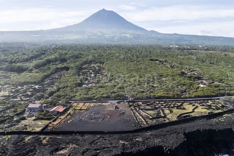 Helårsgrund i Sao Roque do Pico, Pico, Sao Roque do Pico - € 549.000 | Ref: 374250236 - foto 7