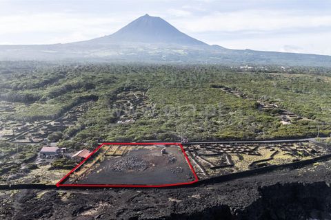 Helårsgrund i Sao Roque do Pico, Pico, Sao Roque do Pico - € 549.000 | Ref: 374250236 - foto 8