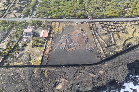 Helårsgrund i Sao Roque do Pico, Pico, Sao Roque do Pico - € 549.000 | Ref: 374250236 - foto 9