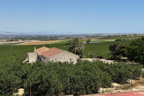 Villa a Algorfa, Alicante, Algorfa - € 685.000 | Ref: QMS-17167 - foto 40