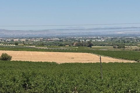 Haus in Algorfa, Alicante, Algorfa - € 685.000 | Ref: QMS-17167 - Foto 36