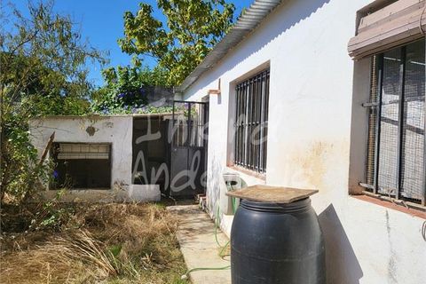 Villa a Posadas, Cordoba, Posadas - € 160.000 | Ref: VL1220 - foto 7