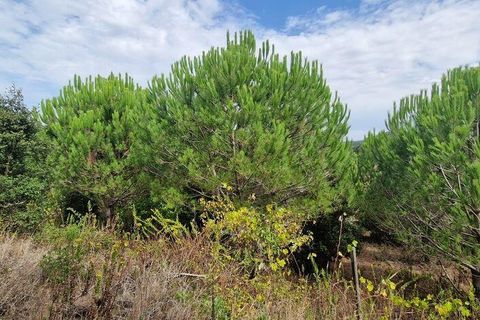 Helårsgrund i Mafra, Lisbon, Mafra - € 119.000 | Ref: 705675 - foto 5