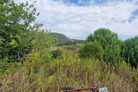 Helårsgrund i Mafra, Lisbon, Mafra - € 119.000 | Ref: 705675 - foto 6