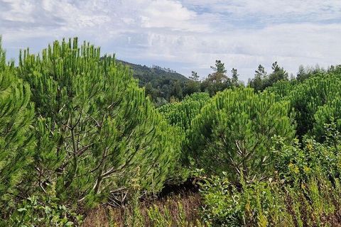 Helårsgrund i Mafra, Lisbon, Mafra - € 119.000 | Ref: 705675 - foto 11