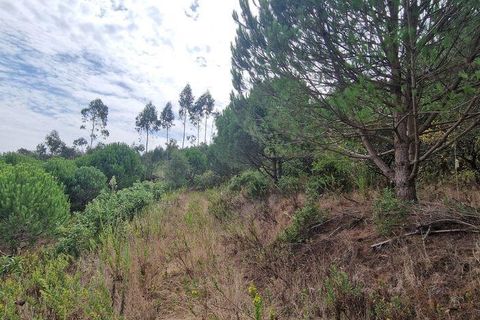 Helårsgrund i Mafra, Lisbon, Mafra - € 119.000 | Ref: 705675 - foto 12