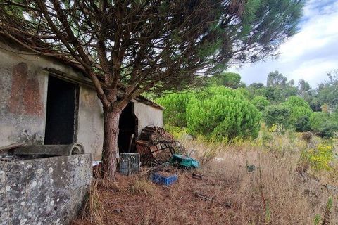 Helårsgrund i Mafra, Lisbon, Mafra - € 119.000 | Ref: 705675 - foto 13