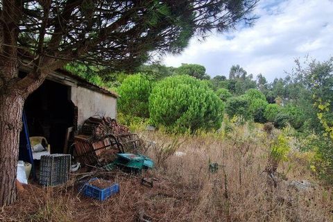 Helårsgrund i Mafra, Lisbon, Mafra - € 119.000 | Ref: 705675 - foto 15