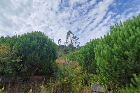 Helårsgrund i Mafra, Lisbon, Mafra - € 119.000 | Ref: 705675 - foto 16