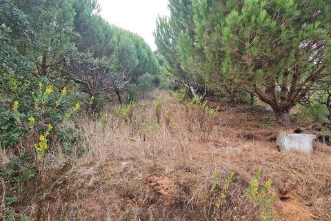 Helårsgrund i Mafra, Lisbon, Mafra - € 119.000 | Ref: 705675 - foto 17