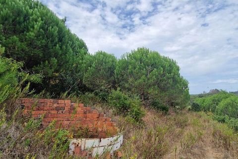 Helårsgrund i Mafra, Lisbon, Mafra - € 119.000 | Ref: 705675 - foto 20