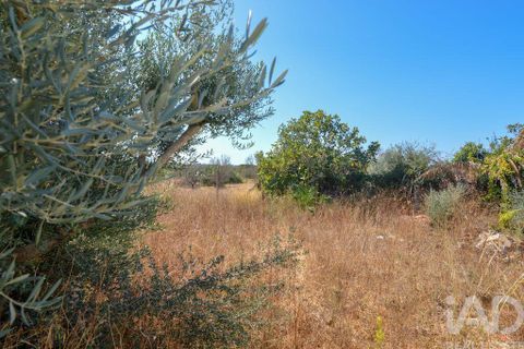 Byhus i Lagoa, Faro, Lagoa - € 375.000 | Ref: 735207 - foto 19