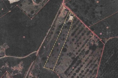 Byhus i Lagoa, Faro, Lagoa - € 375.000 | Ref: 735207 - foto 20