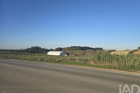 Terra a Peniche, Leiria, Peniche - € 30.000 | Ref: 736421 - foto 2