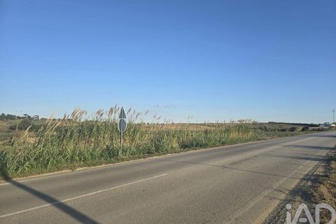 Terra a Peniche, Leiria, Peniche - € 30.000 | Ref: 736421 - foto 4