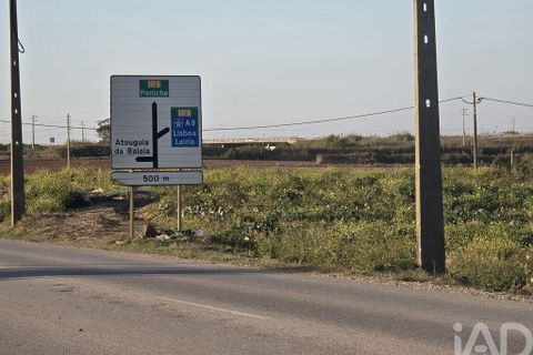 Terra a Peniche, Leiria, Peniche - € 30.000 | Ref: 736421 - foto 5