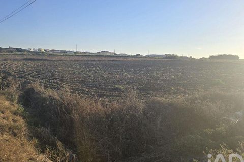 Terra a Peniche, Leiria, Peniche - € 30.000 | Ref: 736421 - foto 6