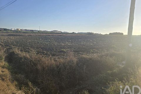 Terra a Peniche, Leiria, Peniche - € 30.000 | Ref: 736421 - foto 7