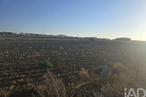 Terra a Peniche, Leiria, Peniche - € 30.000 | Ref: 736421 - foto 8
